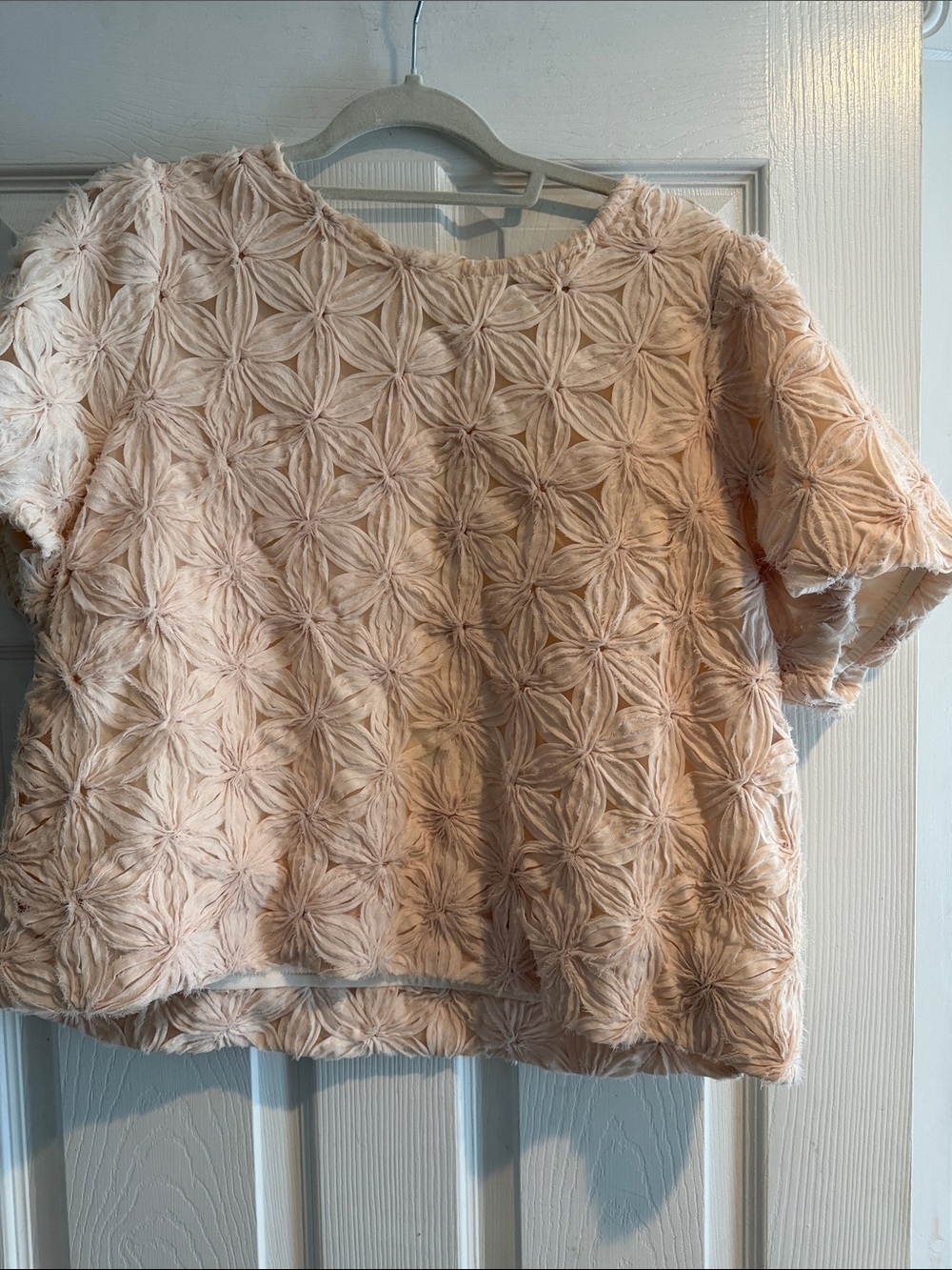 Adrianna Papell Blush Textured Floral Short Sleeve Top